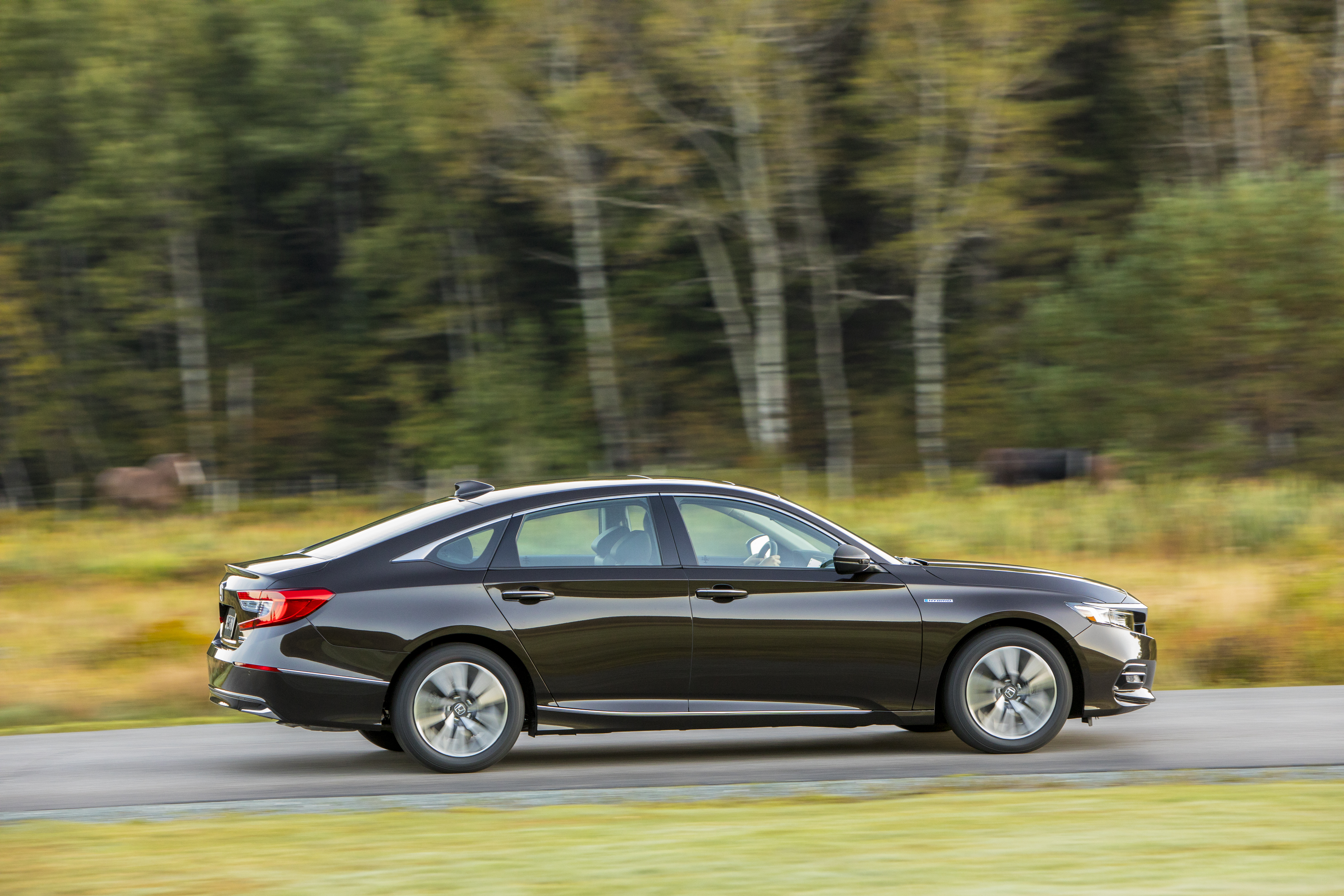  Honda Accord hybrid 
