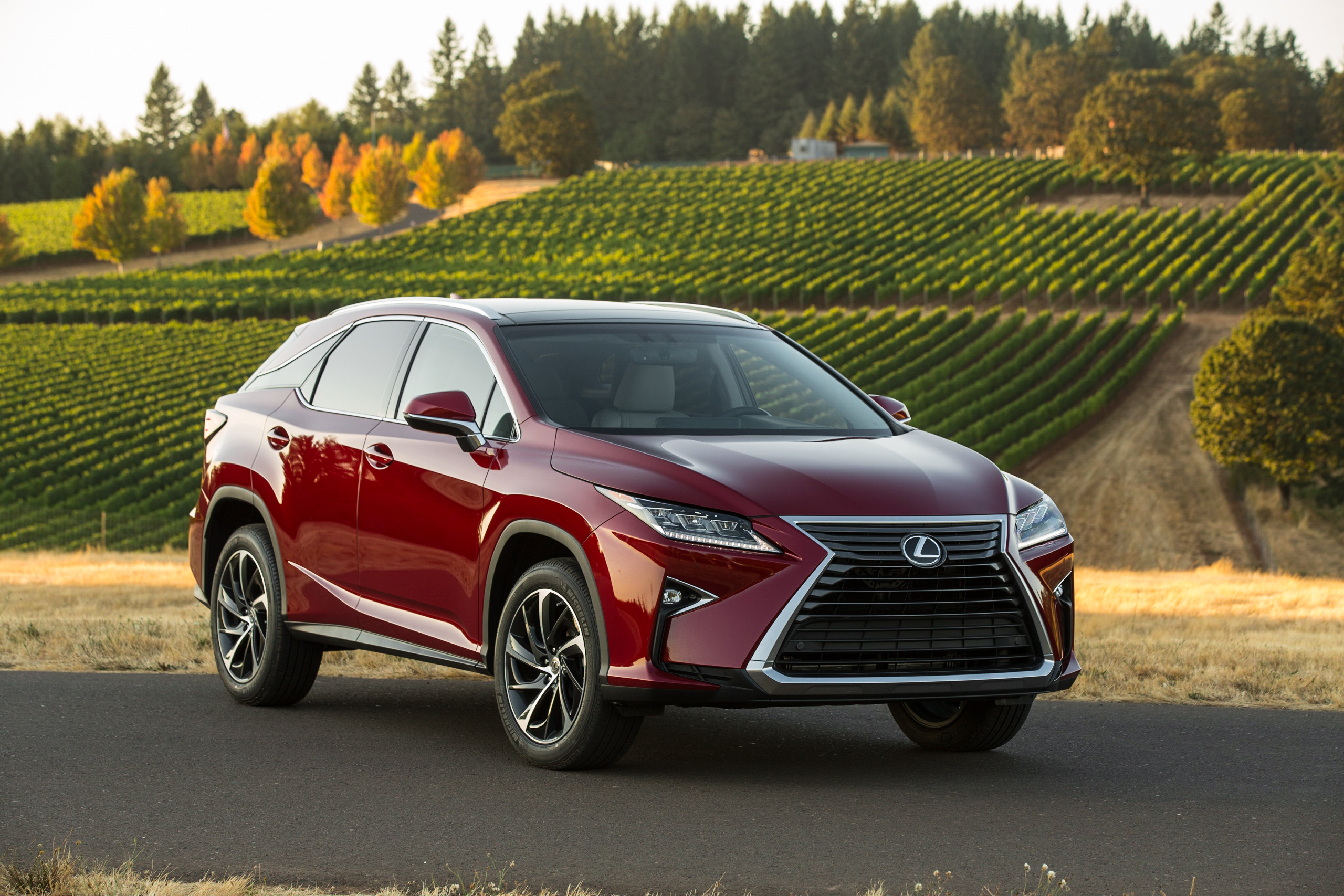  Lexus RX 350 